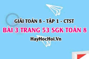 Giải bài 3 trang 53 Toán 8 Tập 1 SGK Chân trời sáng tạo